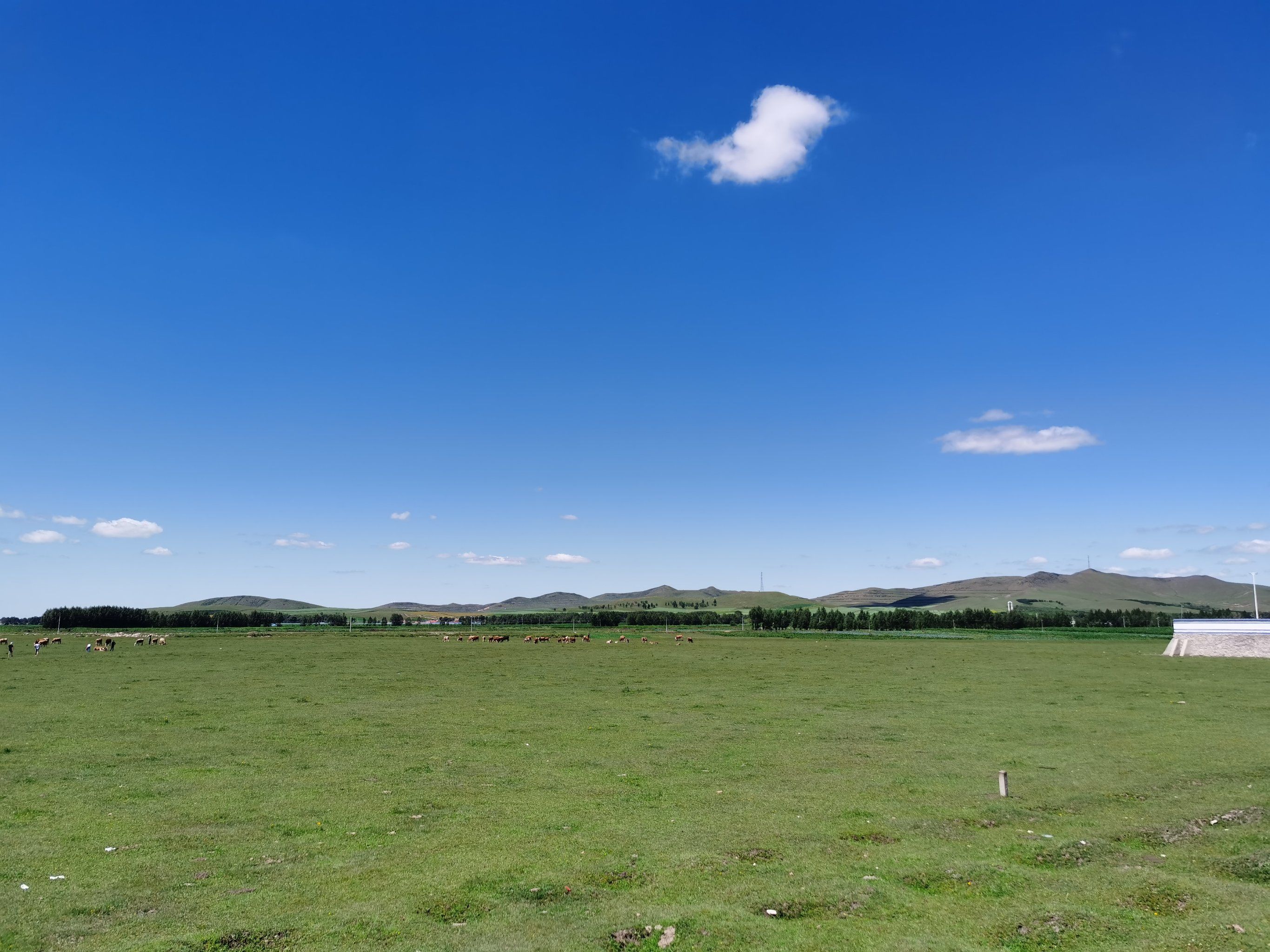 多伦草原休闲农庄