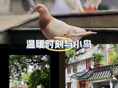 -广州三元宫