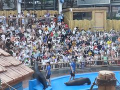 -广州海洋馆