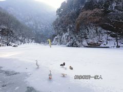 -少华山国家森林公园