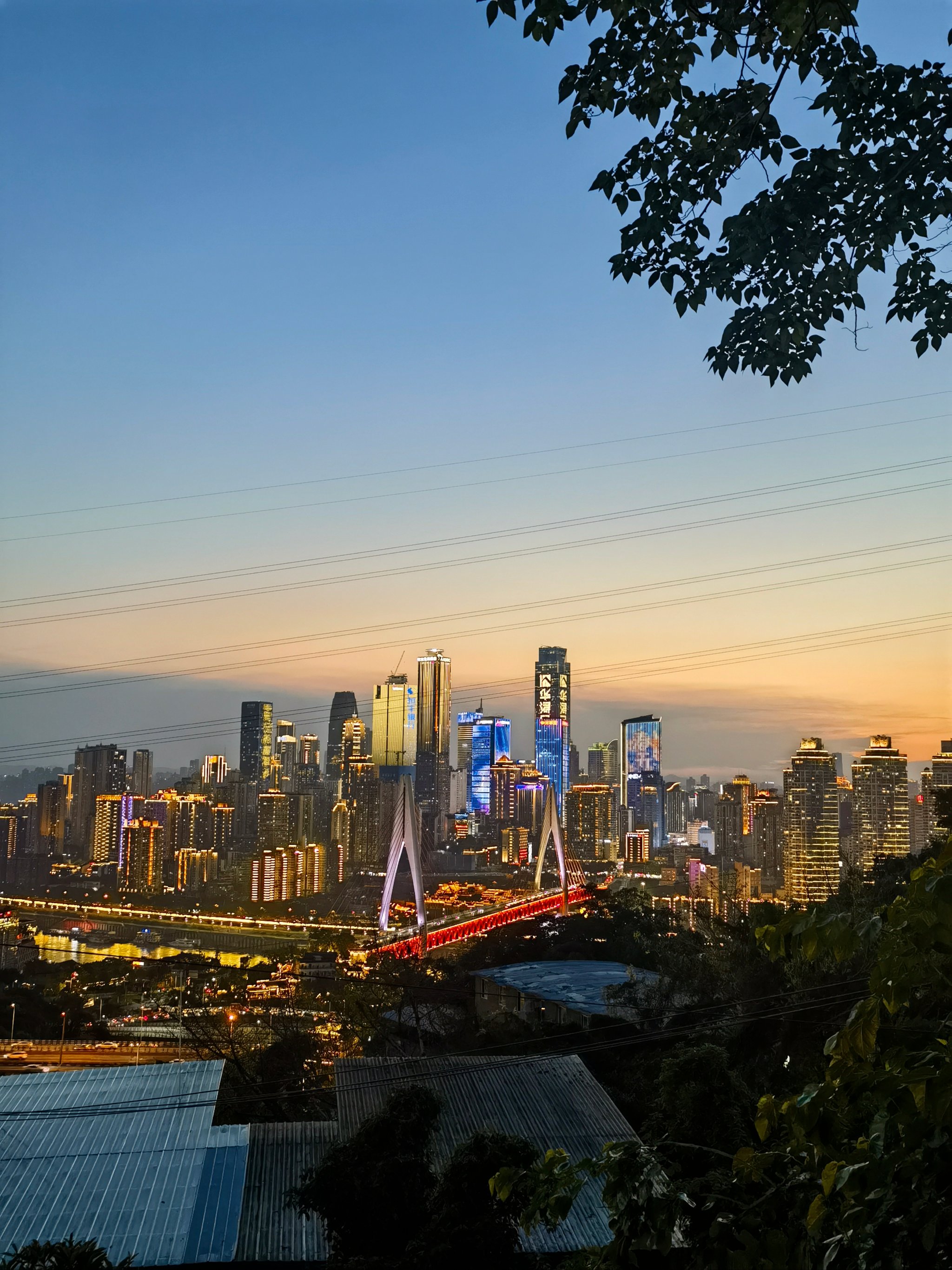 汤加夜景图片