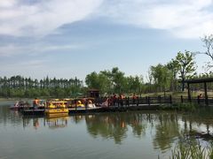 -上海长兴岛郊野公园