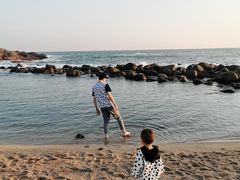 -广东惠东海龟国家级自然保护区