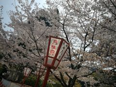 -醍醐寺