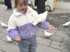 -华谊兄弟（长沙）电影小镇