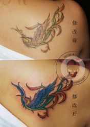 -TATTOO FAMILY刺青纹身工作室