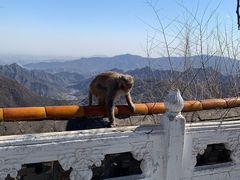 -妙峰山风景名胜区
