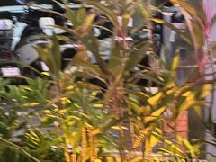 -木屋烧烤(白石洲店)