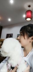 点击看大图 -时尚工厂·科学染发