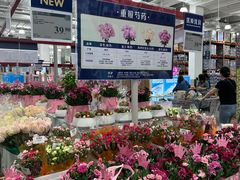 -山姆会员商店(上海浦东店)