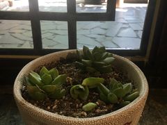 -可可大虾武汉土菜大排档(万松园1店)