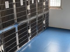 -宠颐生动物医院·小陆分院