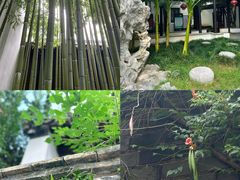 -南京市民俗博物馆(甘熙故居)