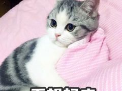 -迪卡侬(燕山店)