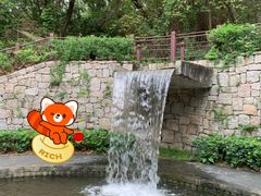 -燕晗山郊野公园