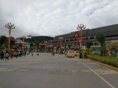 -打洛口岸