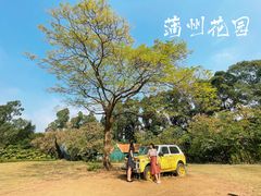 -南沙蒲洲花园