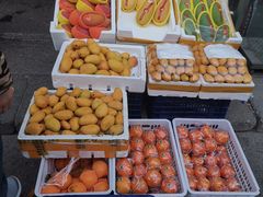 -岳各庄批发市场(西四环中路店)