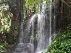 -华南国家植物园-售票处