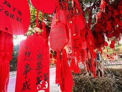 -温州乐园