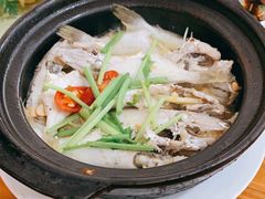 黄豆将煮剥皮鱼-潮式白粥饶平渔仔店(珠江路店)