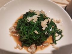 -金鼎轩(方庄天坛店)