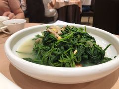 上汤桑叶-宝园酒家(美林M·LIVE天地东座店)