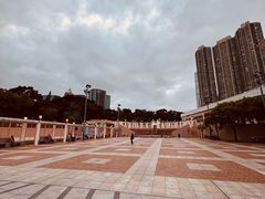 -九龙公园