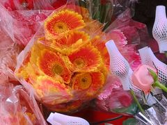 -循礼门鲜花花市(武汉循礼门店)