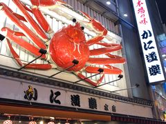 -蟹道乐(道顿堀本店)