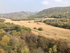 -香炉山国家森林公园