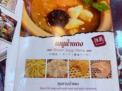 -大中鱼翅 Taitong Shark Fin