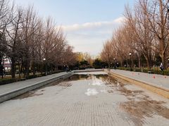 -玲珑塔公园
