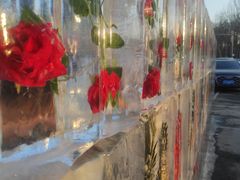 -盛京大奥莱(沈阳奥体店)