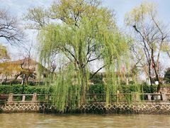 -运河游船(武林门码头)