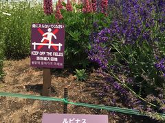-富田农场