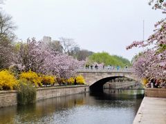 -海棠花溪(元大都城垣遗址公园)