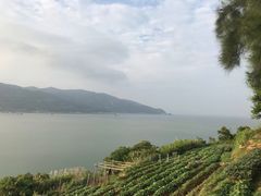 -花竹村
