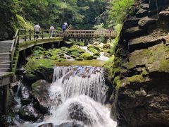 -牛背梁国家森林公园