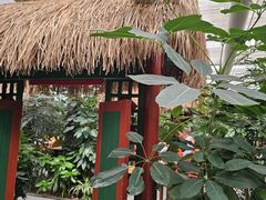 -春满园生态餐厅(南宫路店)
