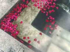 -昆明柏联SPA温泉