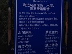 -广东惠东海龟国家级自然保护区