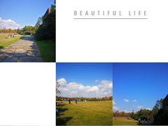 -上海海湾国家森林公园