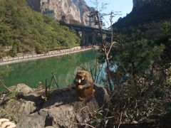 -山西通天峡景区