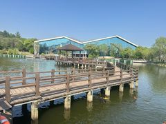 -鄱阳湖国家湿地公园