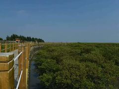 -北海金海湾红树林生态旅游区