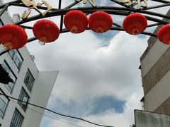 -昆明动物园