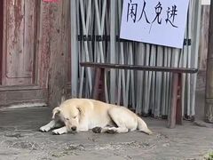 -九峰山