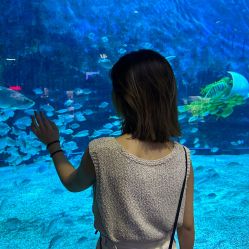 -崇尚GAVIN STYLE臻选