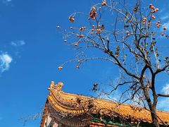 -故宫博物院(故宫)